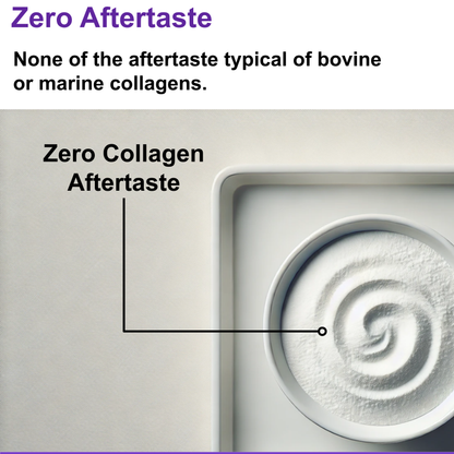 Case of 10 x Ketosource Pure Collagen Peptides